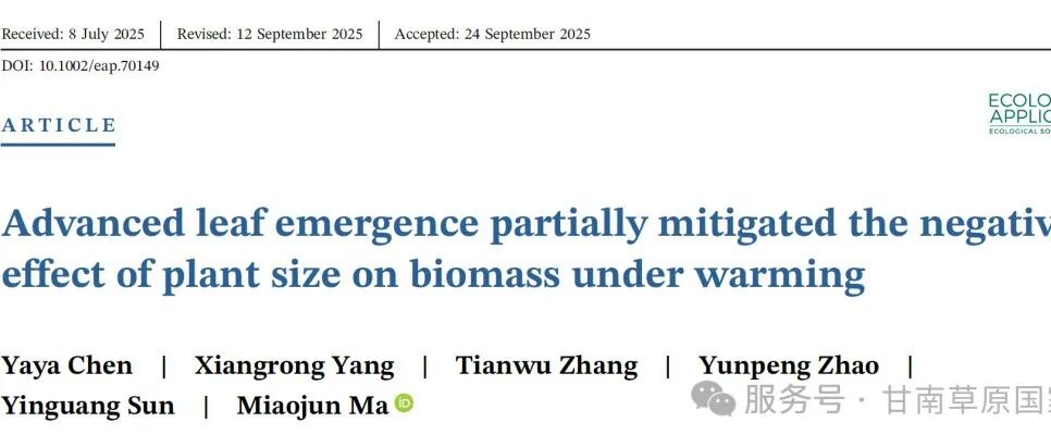 Ecological Applications | 兰州大学 | 增温通过提前叶片返青部分缓解了植物大小对生物量的负面影响