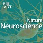 Nat Neurosci | 基于10万神经元绘制高精度小鼠3D脑图谱