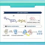 【Angew. Chem.】中国药大徐进宜/徐盛涛/姚鸿课题组：构建DUBTAC分子实现p53 Y220C突变体的构象重塑与稳定