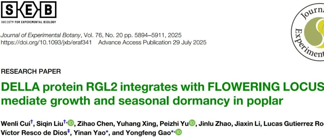 文献分享|DELLA蛋白RGL2与FLOWERING LOCUS T结合，介导杨树的生长和季节性休眠