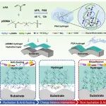 河北工业大学潘志成 Macromolecules：静电重构水合层破解两性离子水凝胶“抗污–粘附”表观矛盾