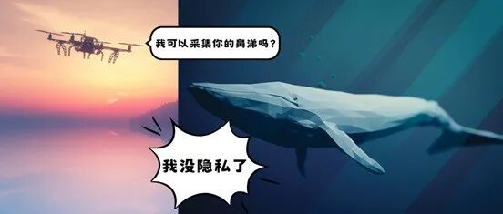 鲸鱼：我没隐私啦！连我的鼻涕都不放过吗？