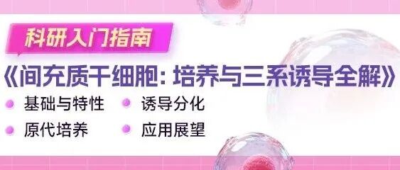 免费获取丨间充质干细胞培养与诱导科研入门手册
