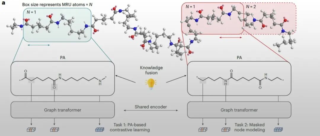 浙江大学计剑教授、张鹏研究员团队 Nat. Comput. Sci.：让AI读懂高分子结构 - 实现更精准的高分子材料性质预测