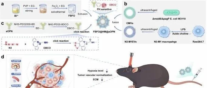 Nature communications：新生物纳米技术可精准控制胶质母细胞瘤，此举将颠覆未来十年生命科学走向！