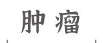 Cell Rep Med丨王娴团队揭示抑制NMD通路增强CRC抗肿瘤免疫的新机制