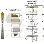 Nature Communications | 华东师大黎绍鹏团队揭示全球外来归化植物分布的关键机制
