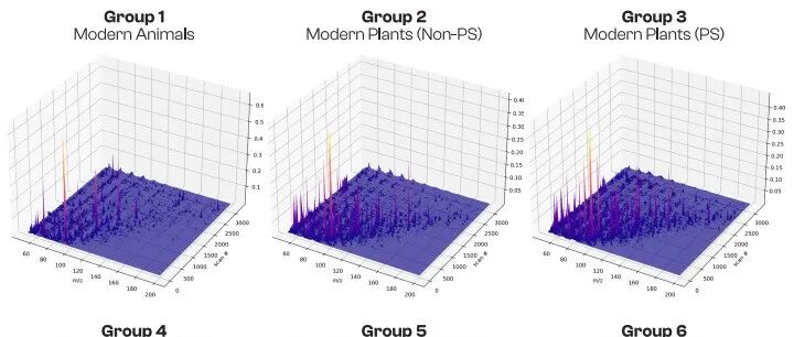 PNAS：机器学习方法，在太古宙岩石中发现生命有机地球化学证据
