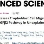 Adv Sci | 张慧东/赵德鹏 发现lnc-HZ05抑制滋养层细胞中TGFβ2通路而引发流产