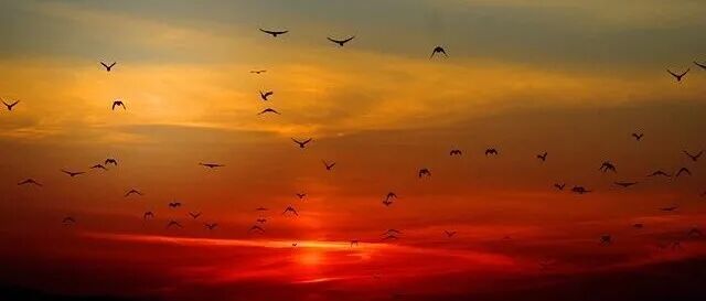 邹广文 | 论历史主动精神的时代诉求、理论内涵与实践路径