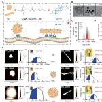 Science子刊 | 上海药物所提出基于非吸收型载体药物偶联物的新型降糖策略