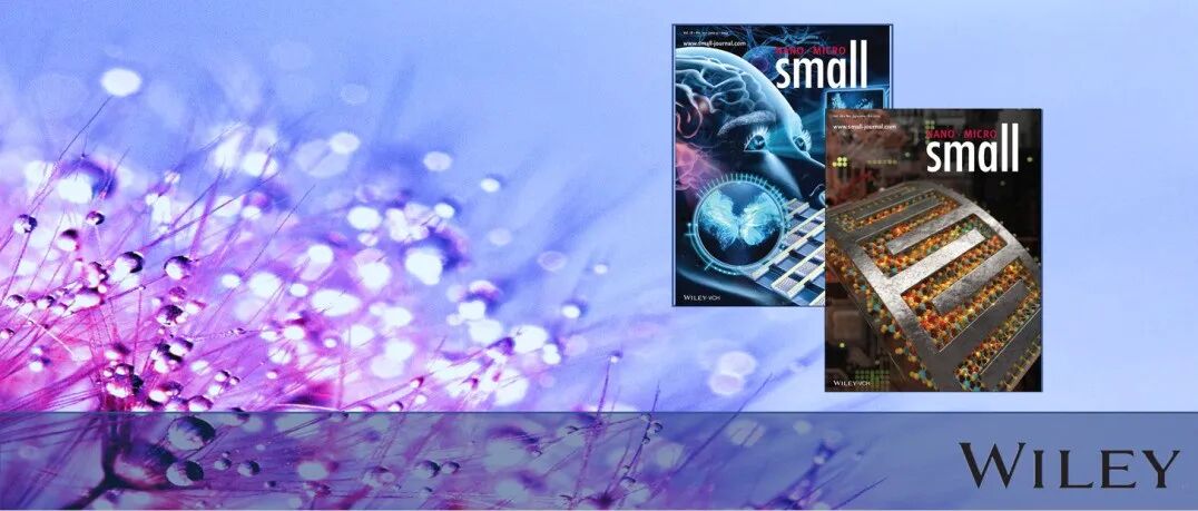 浙师大 林红军团队Small综述：高碘酸盐活化水处理中自由基和非自由基途径的产生机制、氧化行为和优势