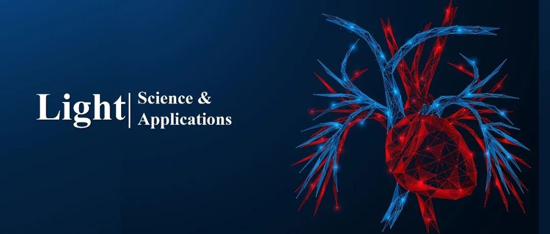 Light | 超表面辅助生物光子学：将光子学创新与生物医学植入物相结合