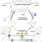 东北大学/天津大学宋浩教授团队 Nat. Commun.：光激发电活性微生物的胞外电子转移驱动自由基可逆加成-断裂链转移聚合