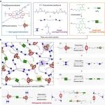 上海交大张照明/颜徐州团队 Macromolecules：正交且协同的超分子作用助力提升材料性能