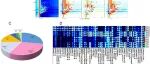 Ultrason Sonochem|王守伟教授、赵冰教授团队发现超声辅助真空滚揉技术驱动腌制羊肉风味形成的新证据