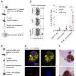 西湖大学高晓飞团队最新Science子刊