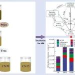 秸秆还田配施氮肥可减缓土壤抗生素抗性基因扩散！中国农业科学院农田灌溉研究所非常规水资源安全利用团队最新研究成果