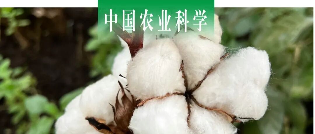 中国农业科学｜山东省农业科学院作物研究所构建陆地棉DUS测试已知品种DNA指纹数据库