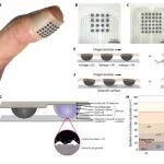 Science Advances：迈向人类分辨率触觉：高带宽、高密度、可穿戴的触觉显示