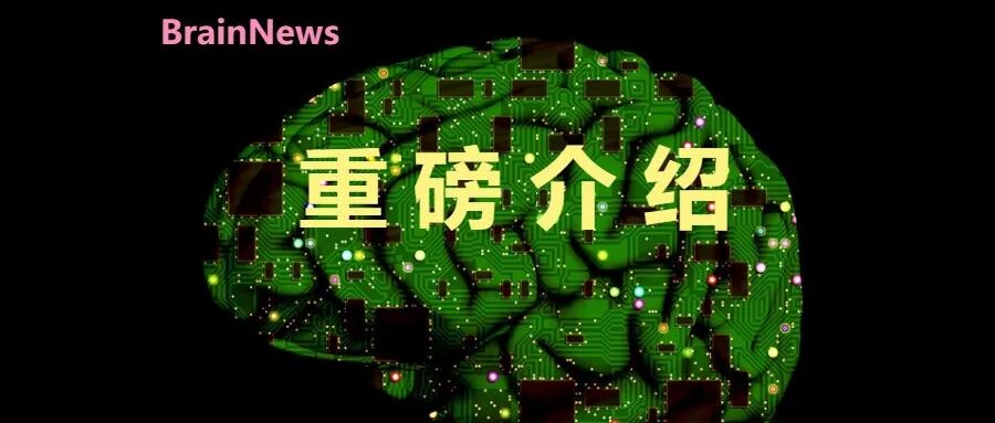 近5年内，我国新增10位脑科学相关领域院士！