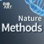 Nat Methods | 申怀宗/原发杰联合发布冷冻电镜AI基础模型，首次实现通用型完全自动化的冷冻电镜结构解析