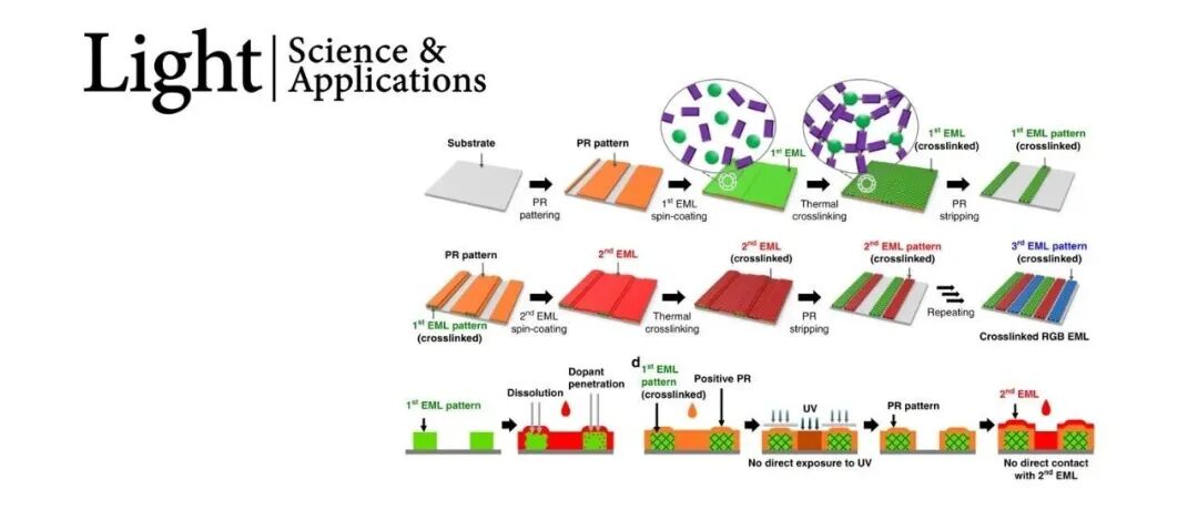 Light | 单相网络结构中 RGB OLED 发射层的微米级间接光刻图案化技术