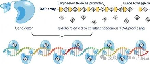 Cell重磅 | 免疫圈巨震！寒门博士预定最年轻院士，解开免疫领域百年难题，荣获国家最高荣耀！