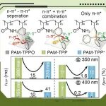 【Angew. Chem.】黑龙江大学许辉教授：通过调控有机膦聚合物的P电子态增强多通道协同室温磷光效应