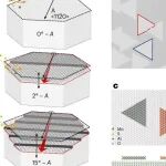 研究前沿：二维半导体MoS₂-邻位范德华外延生长 | Nature Electronics
