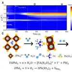 南昌大学陈义旺教授、胡笑添教授团队等 Science：在新型薄膜太阳能电池领域取得重要突破