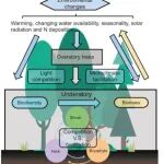 浙江农林大学陈信力教授在Nature子刊一作兼通作发表