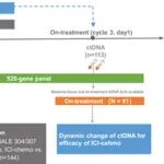 中国医学科学院王洁/王志杰等团队最新Adv Sci