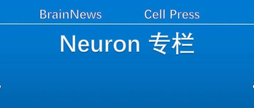 Neuron：浙江中医药大学陈忠/郑艳榕团队发现存在分别响应高脂与高糖饮食的神经元集群，助力精准“减肥”