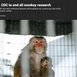 美国疾控中心：年底前终止所有涉及猴子的研究