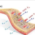 四川大学《Small》：高度可伸缩且自愈合的石墨烯封装液态金属复合材料，适用于多功能应用