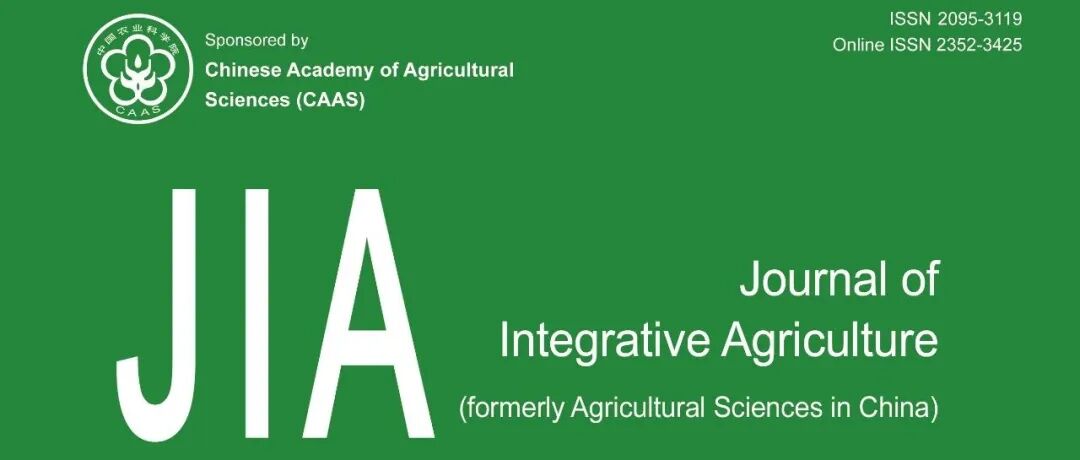 JIA 2025-12期 发布