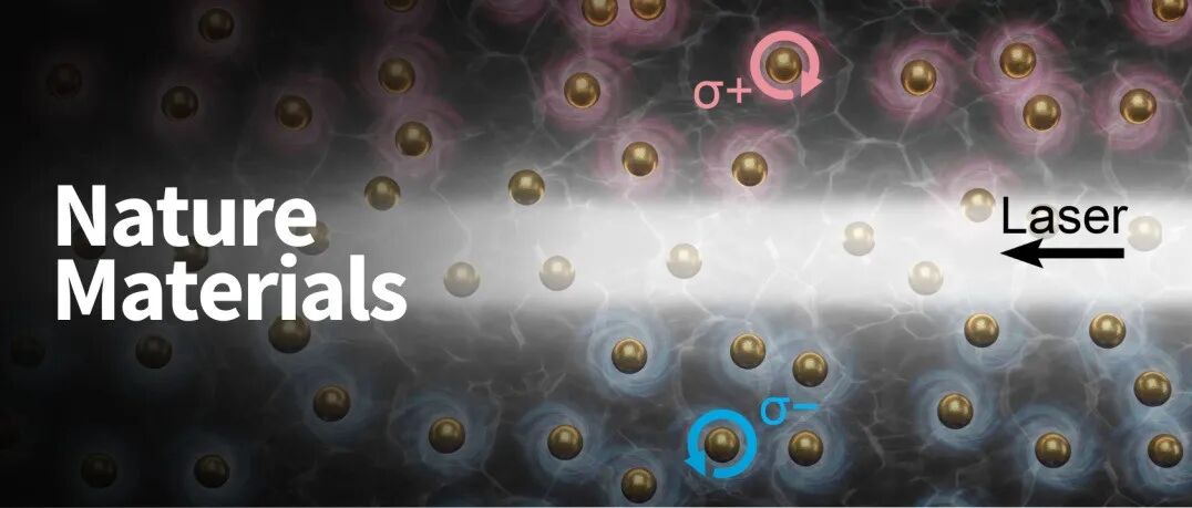 Nature Materials | 光在布朗运动世界的“自旋锁定”