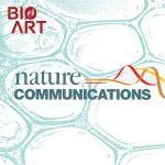 Nat Commun丨Sec14L6：大型哺乳动物特异性的脂滴发生调控因子