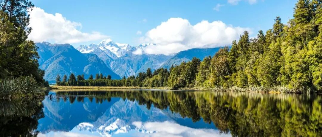 僵尸企业“隐蔽”的债务转嫁链