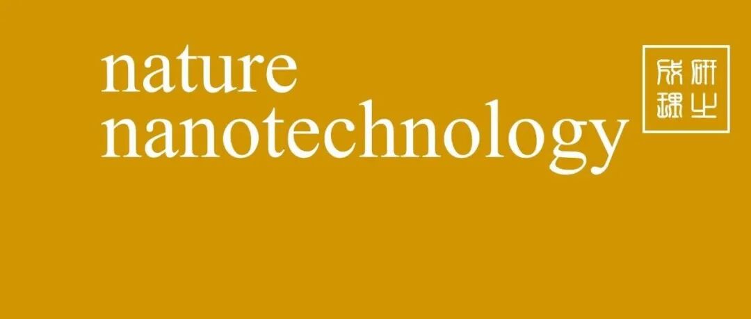 硅负极，Nature Nanotechnology！