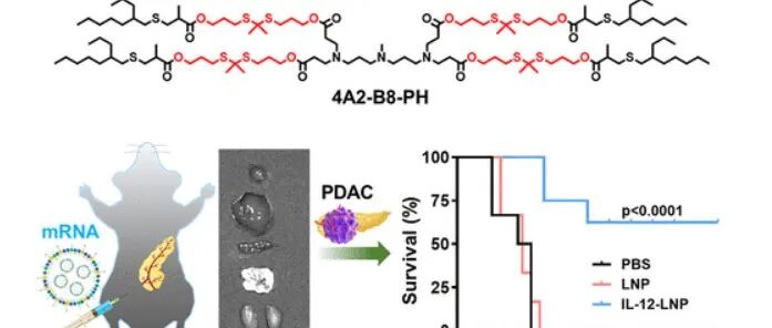 【JACS】掺入硫酮醛的可降解脂质纳米颗粒将 mRNA 输送到导管上皮细胞，以改善胰腺癌治疗