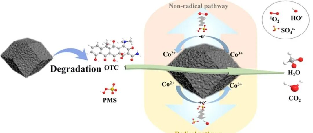 文献速递|长春理工大学JMS:一种用于合成高效抗生素降解催化剂Co₉S₈/Co₄S₃的3D多孔Co-MOF前驱体策略