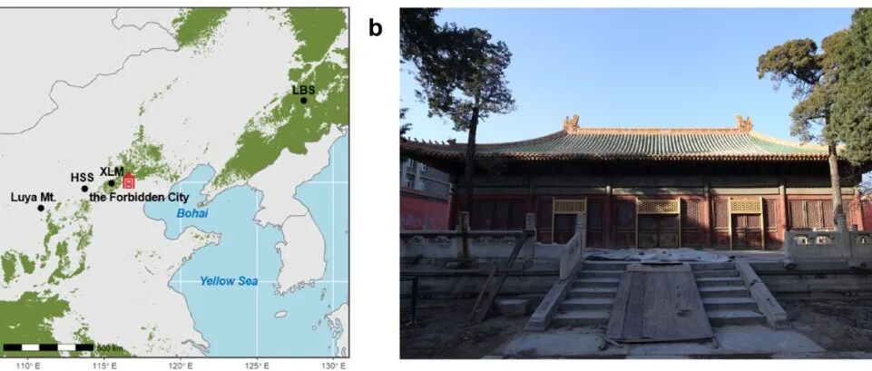 赵卿宇∣许晨曦等-npj HS：树轮氧同位素在考古学的应用：故宫古建筑木构件定年与溯源
