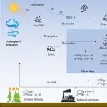 地理所郭庆军课题组在Geophysical Research Letters发表关于大气颗粒态汞形成机制研究的最新进展论文