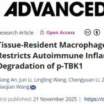 Adv Sci | 浙江大学王晓健/林文龙等发现自身免疫性疾病治疗的潜在新靶点
