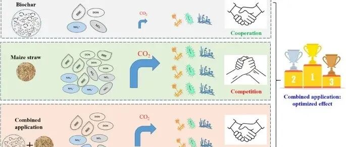 Carbon Research | 生物炭与秸秆配施对农田土壤微生物群落结构变化的影响：来自180天培养实验的证据