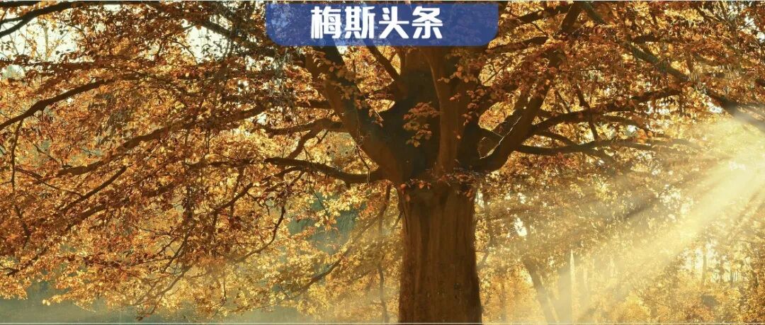减龄3年，这种维生素太“神“了！上海交大：不仅肌肉量增加11%，还能防癌，减少端粒缩短，延缓细胞衰老；连带痴呆风险骤降40%