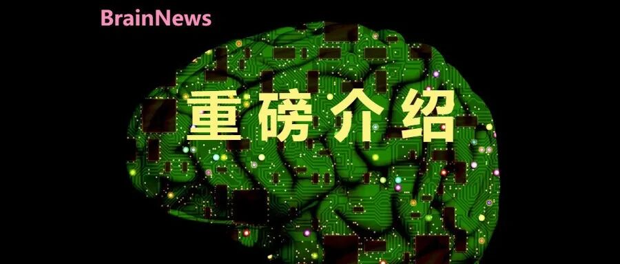 首都医科大学多项脑科学项目获2024年度北京市科学技术奖，吉训明、王拥军分别领衔团队获一等奖