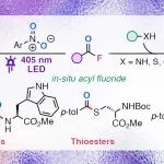 【Org. Lett.】纽约大学：光诱导烯基氟化物裂解实现亲核酰基取代反应：通过原位生成的酰基氟化物实现
